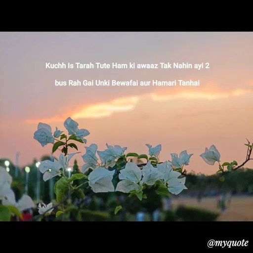 Quote by Nishu Rani - Kuchh Is Tarah Tute Ham ki awaaz Tak Nahin ayi 2

bus Rah Gai Unki Bewafai aur Hamari Tanhai - Made using Quotes Creator App, Post Maker App