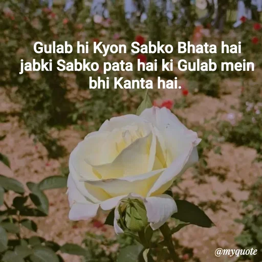 Quote by Nishu Rani - Gulab hi Kyon Sabko Bhata hai
jabki Sabko pata hai ki Gulab mein bhi Kanta hai.  - Made using Quotes Creator App, Post Maker App