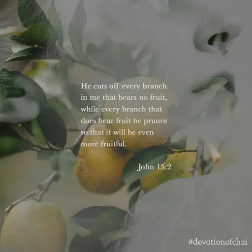 Quote by maria victoria alfonso - He cuts off every branch
in me that bears no fruit,
while every branch that
does bear fruit he prunes
so that it will be even
more fruitful.
John 15:2
#devotionofchai
 - Made using Quotes Creator App, Post Maker App
