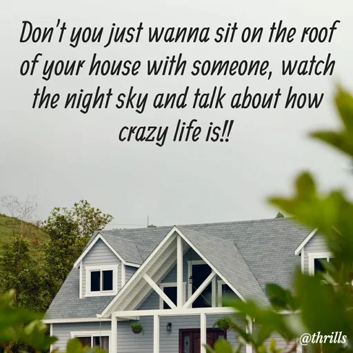 Quote by Sangeeta Bhagat - Don't you just wanna sit on the roof of your house with someone, watch the night sky and talk about how crazy life is!!  - Made using Quotes Creator App, Post Maker App