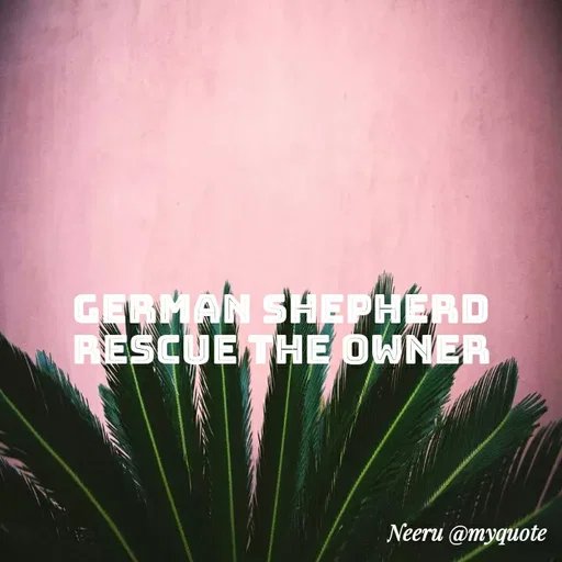 Quote by Neeraja Neeru - GERMAN SHEPHERD
RESCUE THE OWNER
Neeru @myquote
 - Made using Quotes Creator App, Post Maker App