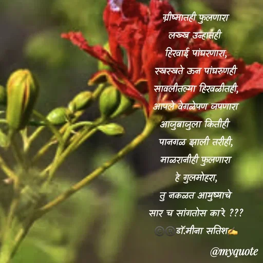 Quote by Dr Meena Satish - ग्रीष्मातही फुलणारा
लख्ख उन्हातही 
हिरवाई पांघरणारा,
रखरखते ऊन पांघरुणही
सावलीतल्या हिरवळीतही,
आपले वेगळेपण जपणारा
आजुबाजुला कितीही 
पानगळ झाली तरीही,
माळरानीही फुलणारा
हे गुलमोहरा,
तु नकळत आयुष्याचे
सार च सांगतोस का रे ???
©️®️डाॅ.मीना सतिश✍️






 - Made using Quotes Creator App, Post Maker App