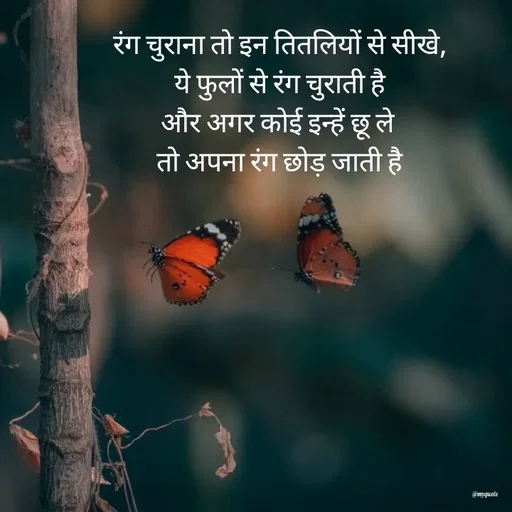 Quote by Radhika Sharma - रंग चुराना तो इन तितलियों से सीखे,
ये फुलों से रंग चुराती है
और अगर कोई इन्हें छू ले 
तो अपना रंग छोड़ जाती है - Made using Quotes Creator App, Post Maker App