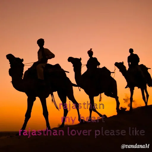 Quote by Vandana meena - ajasthan
ny heart
rajasthan lover please like
@vandanaM
 - Made using Quotes Creator App, Post Maker App