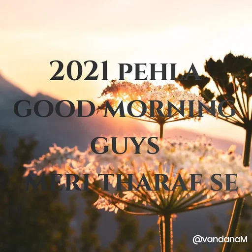 Quote by Vandana meena - 2021 PEHLA
GOOD MORNIN
GUYS
RETHARAF SE
@vandanaM
 - Made using Quotes Creator App, Post Maker App