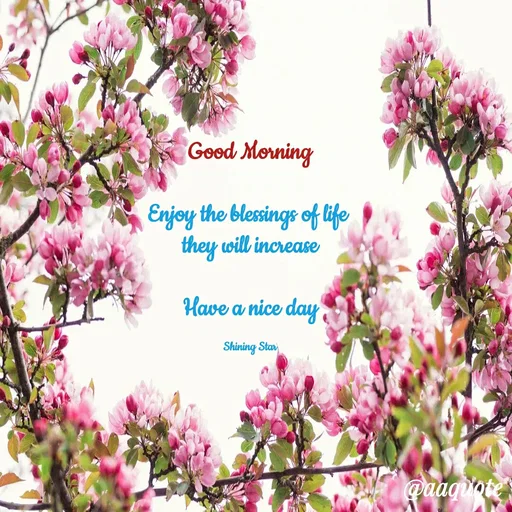 Quote by shining star - Good Morning

Enjoy the blessings of life 
they will increase

Have a nice day

Shining Star - Made using Quotes Creator App, Post Maker App