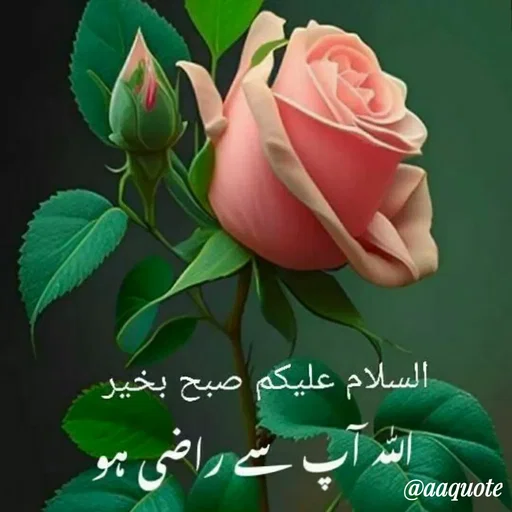 Quote by shining star - Double tap to change text. - Made using Quotes Creator App, Post Maker App