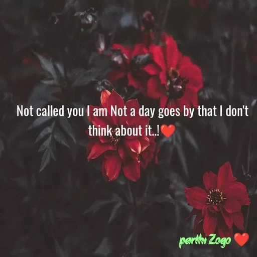 Quote by Parthi Zogo - Not called you I am Not a day goes by that I don't think about it..!❤️ - Made using Quotes Creator App, Post Maker App