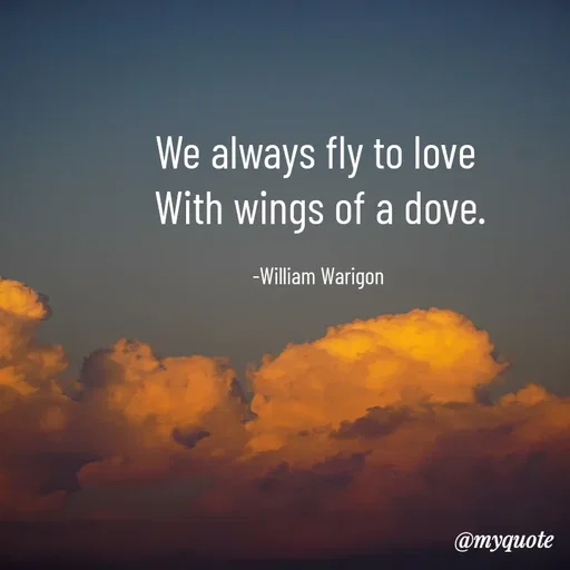 Quote by William Warigon - We always fly to love 
With wings of a dove.

-William Warigon  - Made using Quotes Creator App, Post Maker App