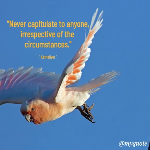 Quote by MANOHARAN ST -  - Made using Quotes Creator App, Post Maker App