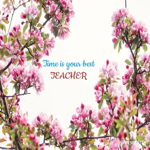 Quote by Wajid ali khan - Time is your best
TEACHER
 - Made using Quotes Creator App, Post Maker App
