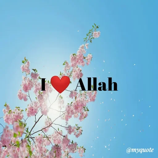 Quote by Wajid ali khan - Ällah
@myquote
 - Made using Quotes Creator App, Post Maker App