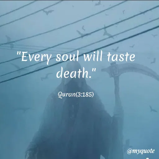 Quote by Wajid ali khan - "Every soul will taste
death."
Quran(3:185)
@myquote
 - Made using Quotes Creator App, Post Maker App