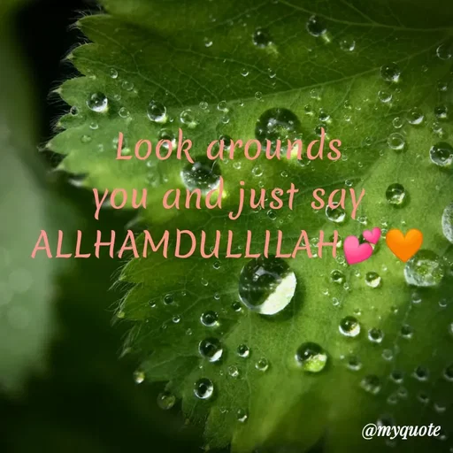 Quote by Wajid ali khan - Look arounds
you
'and just sgy
ALLHAMDULLILAR
@тудиote,
 - Made using Quotes Creator App, Post Maker App