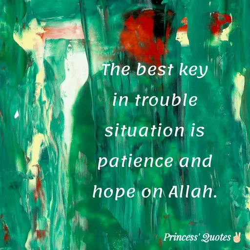 Quote by Wajid ali khan - The best key
in trouble
situation is
patience and
hope on Allah.
Princess' Quotes
 - Made using Quotes Creator App, Post Maker App