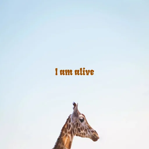 Quote by P -  - Made using Quotes Creator App, Post Maker App