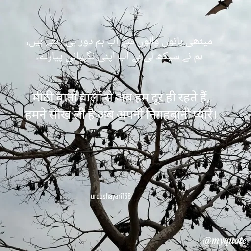 Quote by Faizan Khan -  - Made using Quotes Creator App, Post Maker App