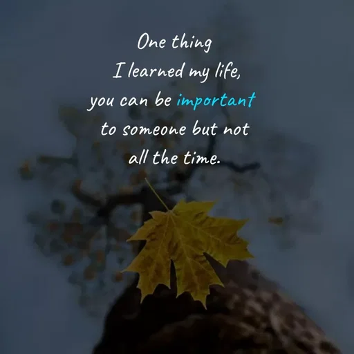 Quote by Akifa🌹 - One thing
 I learned my life,
you can be important 
to someone but not
all the time. - Made using Quotes Creator App, Post Maker App