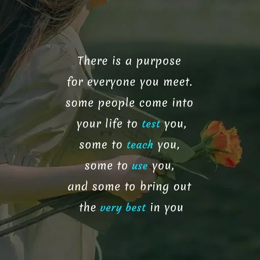 Quote by Akifa🌹 - There is a purpose
for everyone you meet.
some people come into
 your life to test you,
some to teach you,
some to use you,
and some to bring out
 the very best in you
 - Made using Quotes Creator App, Post Maker App
