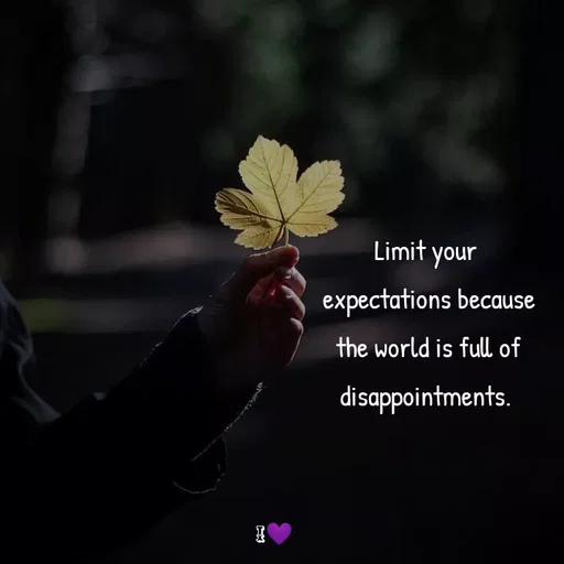 Quote by Akifa🌹 - Limit your
 expectations because
 the world is full of
disappointments. - Made using Quotes Creator App, Post Maker App