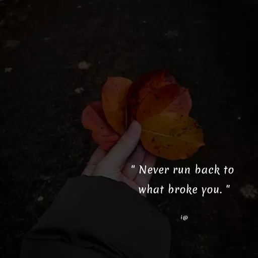 Quote by Akifa🌹 - " Never run back to 
what broke you. "

i@ - Made using Quotes Creator App, Post Maker App