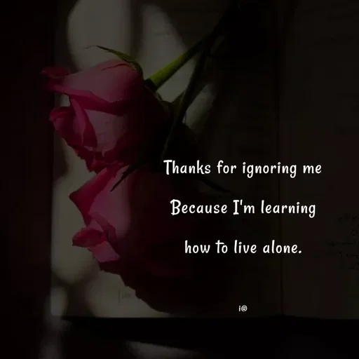 Quote by Akifa🌹 - Thanks for ignoring me
Because I'm learning
how to live alone.

i@ - Made using Quotes Creator App, Post Maker App
