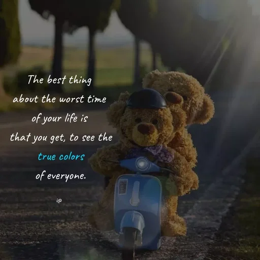 Quote by Akifa🌹 - The best thing
 about the worst time 
of your life is
 that you get, to see the
 true colors
 of everyone.

i@ - Made using Quotes Creator App, Post Maker App