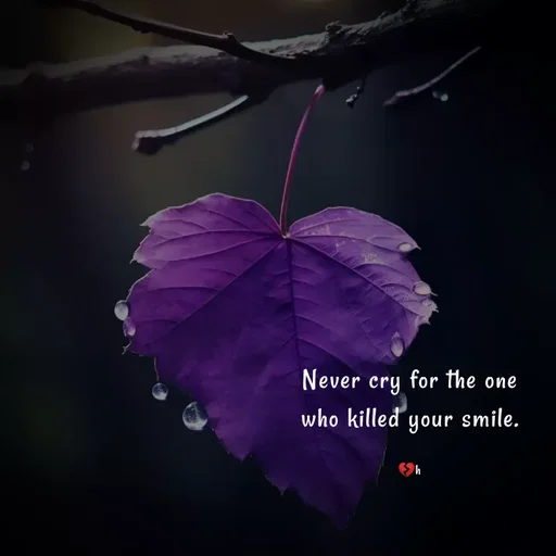 Quote by Akifa🌹 - Never cry for the one
who killed your smile.

💔h - Made using Quotes Creator App, Post Maker App