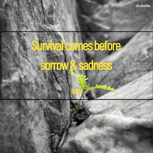 Quote by Dr.Akshatha - Survival comes before 
sorrow & sadness 

AVKN  - Made using Quotes Creator App, Post Maker App
