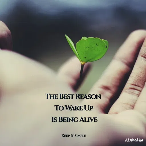Quote by Akshatha Nairy - THE BEST REASON
TO WAKE UP
Is BEING ALIVE
KEEP IT SIMPLE
Akshatha
 - Made using Quotes Creator App, Post Maker App