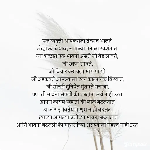 Quote by Seema Channe -  - Made using Quotes Creator App, Post Maker App