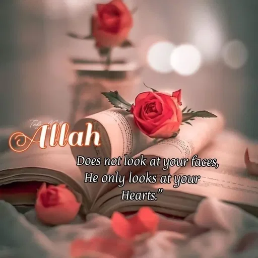 Quote by Nehayat Ilm -  - Made using Quotes Creator App, Post Maker App