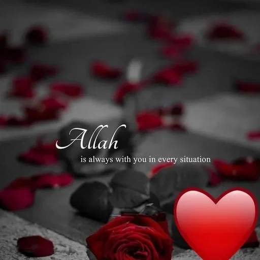 Quote by Nehayat Ilm -  - Made using Quotes Creator App, Post Maker App