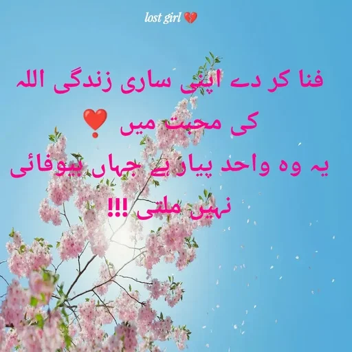 Quote by lost girl 💔🥹 - فنا کر دے اپنی ساری زندگی اللہ کی محبت میں ❣️
یہ وہ واحد پیار ہے جہاں بیوفائی نہیں ملتی !!! - Made using Quotes Creator App, Post Maker App