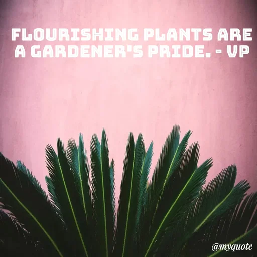 Quote by Incognito - flourishing plants are a gardener's pride. - vp - Made using Quotes Creator App, Post Maker App