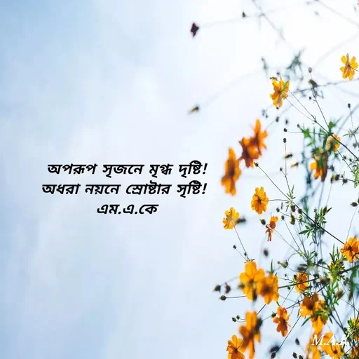 Quote by MAHFUJA AKTER M.A.K -  - Made using Quotes Creator App, Post Maker App