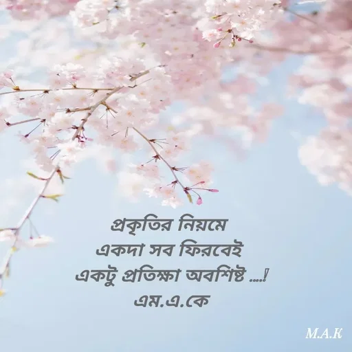 Quote by MAHFUJA AKTER M.A.K -  - Made using Quotes Creator App, Post Maker App