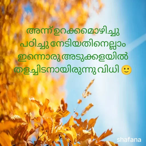 Quote by shifa - അന്ന് ഉറക്കമൊഴിച്ചു പഠിച്ചു നേടിയതിനെല്ലാം ഇന്നൊരു അടുക്കളയിൽ തളച്ചിടനായിരുന്നു വിധി 🙂 - Made using Quotes Creator App, Post Maker App