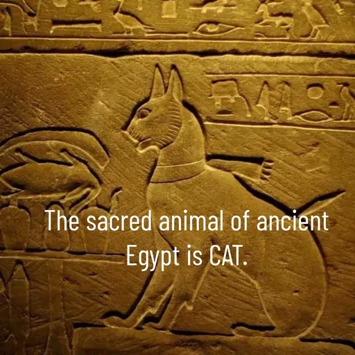 Quote by Manasa - The sacred animal of ancient Egypt is CAT. - Made using Quotes Creator App, Post Maker App