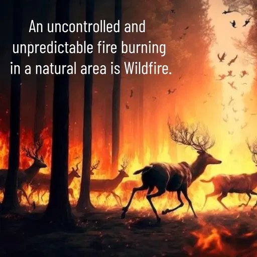 Quote by Manasa - An uncontrolled and 
unpredictable fire burning
 in a natural area is Wildfire. - Made using Quotes Creator App, Post Maker App