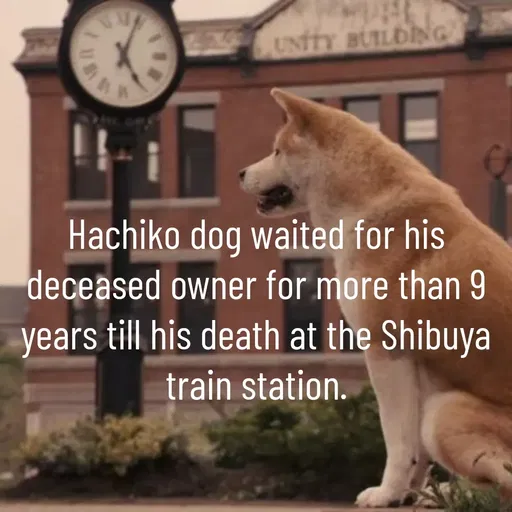 Quote by Manasa - Hachiko dog waited for his deceased owner for more than 9 years till his death at the Shibuya train station. - Made using Quotes Creator App, Post Maker App