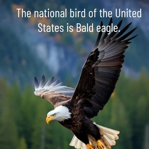 Quote by Manasa - The national bird of the United States is Bald eagle. - Made using Quotes Creator App, Post Maker App