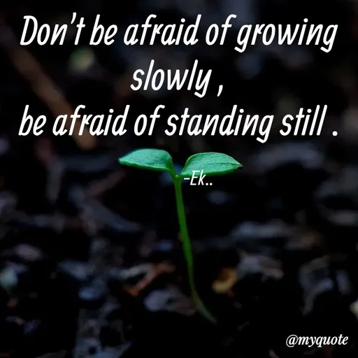 Quote by Dhara❄️ -  - Made using Quotes Creator App, Post Maker App