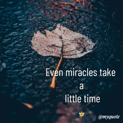 Quote by Dhara❄️ -  - Made using Quotes Creator App, Post Maker App