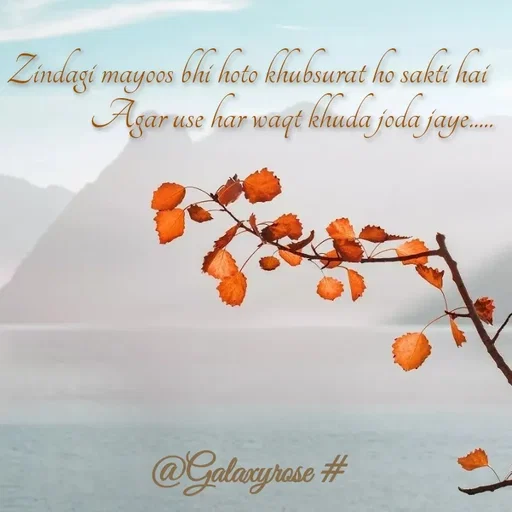 Quote by Galaxyrose - Zindagi mayoos bhi hoto khubsurat ho sakti hai 
Agar use har waqt khuda joda jaye..... - Made using Quotes Creator App, Post Maker App