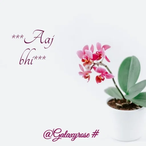 Quote by Galaxyrose - ***Aaj
bhi*** - Made using Quotes Creator App, Post Maker App