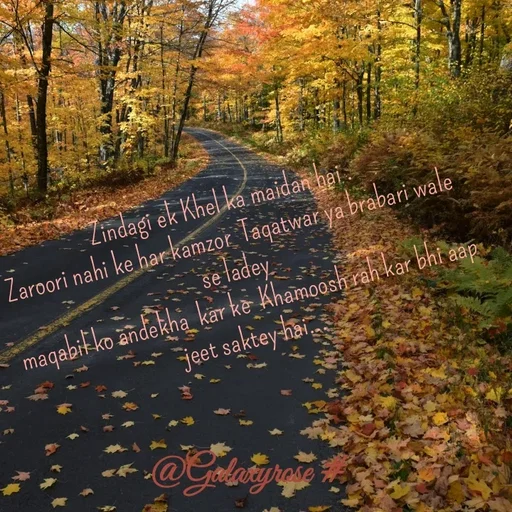 Quote by Galaxyrose - Zindagi ek Khel ka maidan hai .
Zaroori nahi ke har kamzor  Taqatwar ya brabari wale
se ladey 
 maqabil ko andekha  kar ke  Khamoosh rah kar bhi aap jeet saktey hai... - Made using Quotes Creator App, Post Maker App