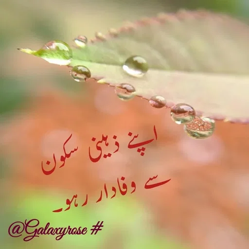 Quote by Galaxyrose - Double tap to change text. - Made using Quotes Creator App, Post Maker App