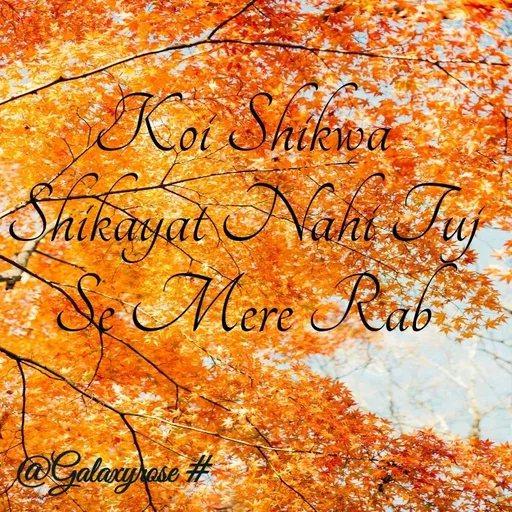 Quote by Galaxyrose - Koi Shikwa Shikayat Nahi Tuj Se Mere Rab - Made using Quotes Creator App, Post Maker App