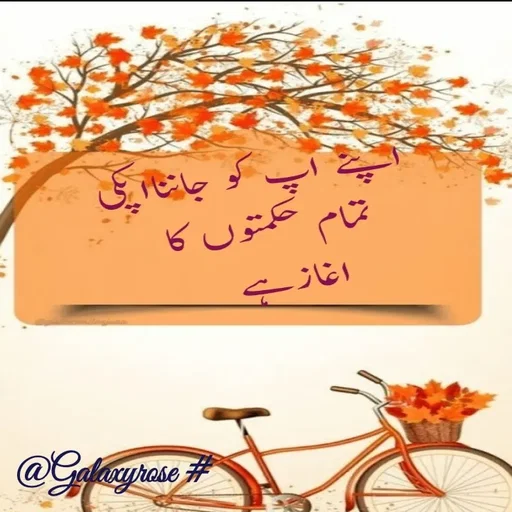 Quote by Galaxyrose - Double tap to change text. - Made using Quotes Creator App, Post Maker App